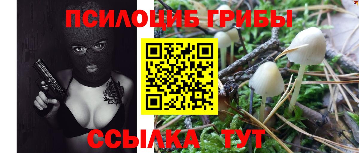 Псилоцибиновые грибы Psilocybe Удомля