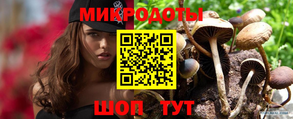 Галлюциногенные грибы Psilocybe  Вход с VPN  Удомля 